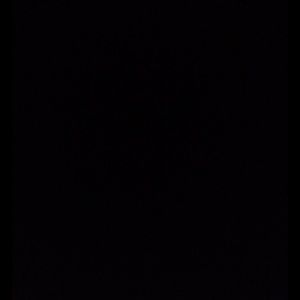 Meet your Posher, Ava